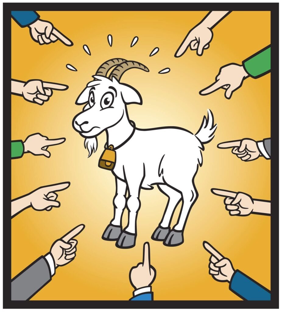Project Managers are fancy scapegoat
